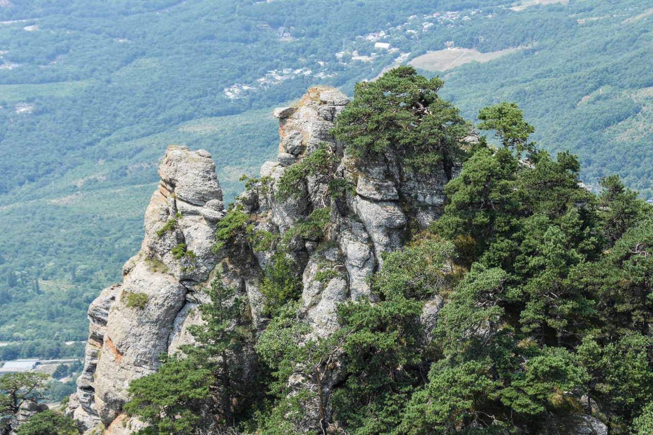 Гидом буду: экскурсоводы рассказали о курьёзных ситуациях на маршрутах и малоизвестных уголках Крыма