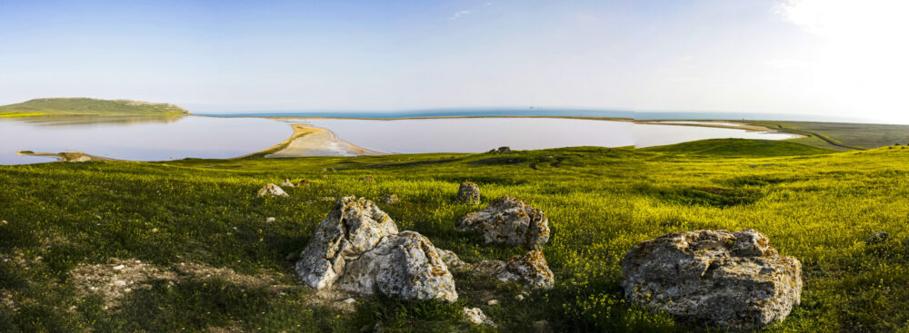 Оазис в степи