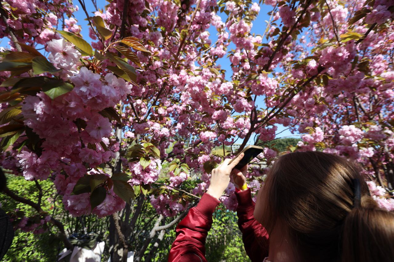 Апрель в Крыму: цветущие локации для весенней фотосессии