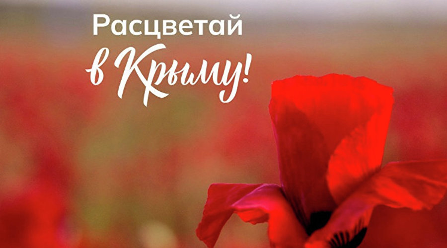 В Крым приглашают с помощью дополненной реальности