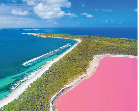 Pink Parallels: Sasyk-Sivash in Crimea and Lake Hillier in Australia — Two Secrets of One Planet