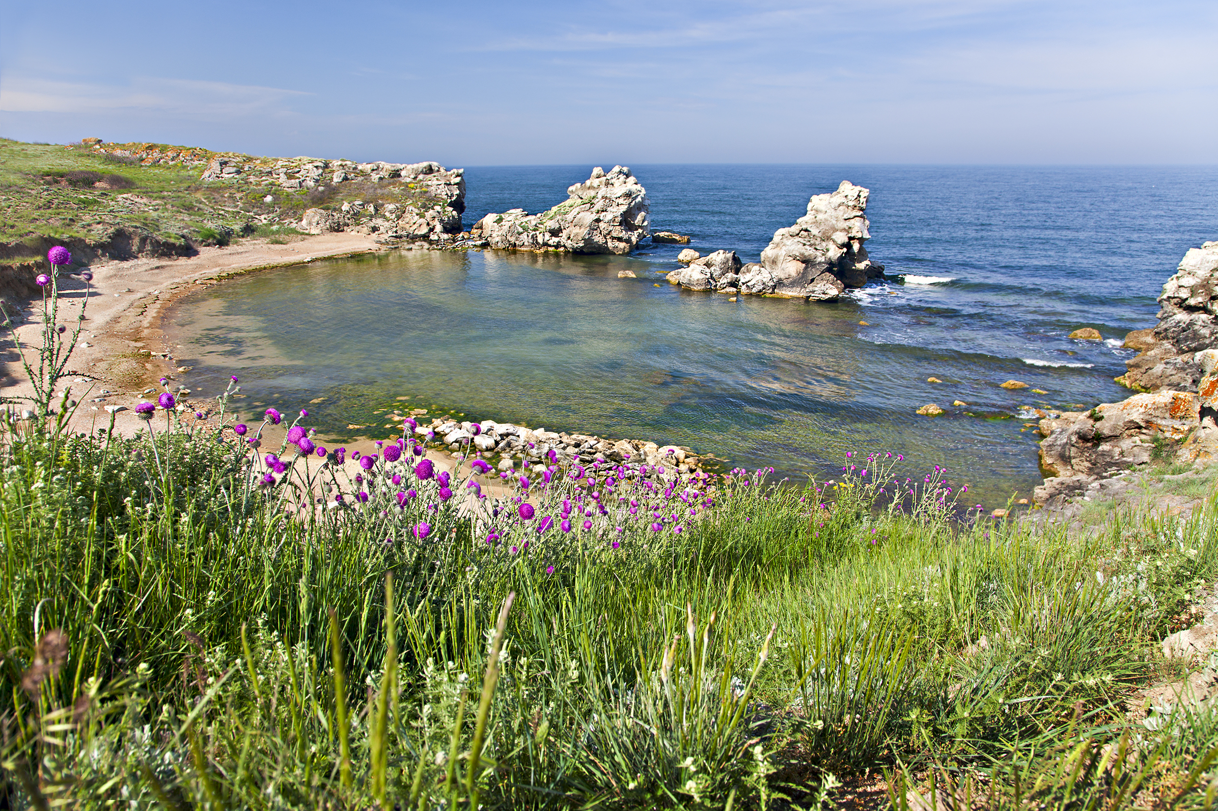 Мыс Агира Крым цветы