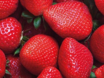 Crimea became one of the leading regions of Russia in the gross harvest of fruits and berries
