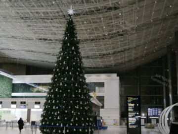 Airport of Simferopol has serviced 140 thousand of passengers at New Year holidays