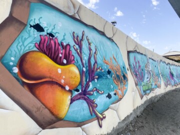 Арт-кластер «Таврида» украсил рисунками пляж в Судаке