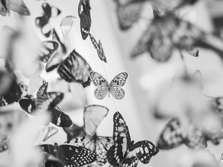 Спектакль «Эти свободные бабочки»