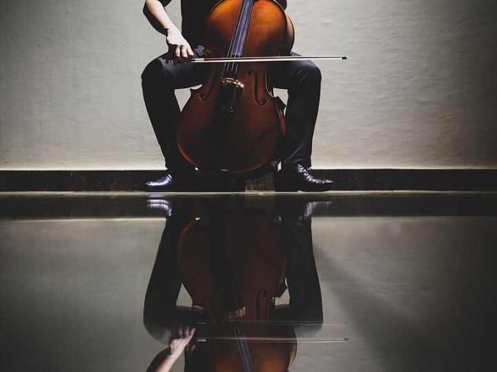 Концерт дуэта виолончелей Donna Cello