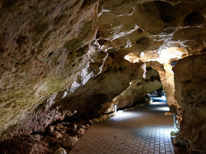 Затерянный мир: что скрывает пещера Таврида и на какие уникальные находки стоит посмотреть
